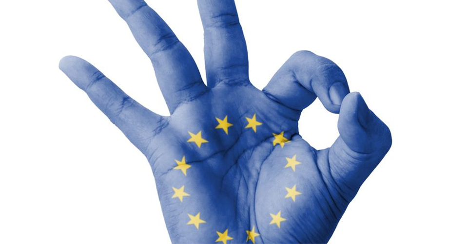 одобрение ЕС ОК жестом руки