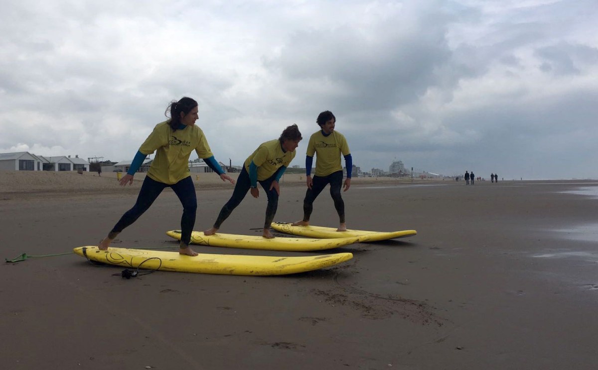 everyone.org команда учится серфингу